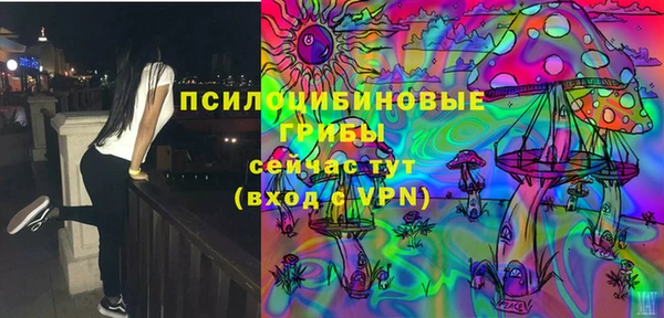 ПСИЛОЦИБИНОВЫЕ ГРИБЫ Балахна