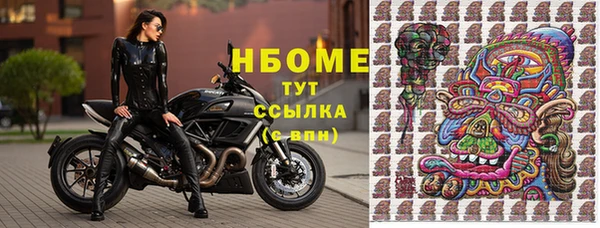 ПСИЛОЦИБИНОВЫЕ ГРИБЫ Балахна