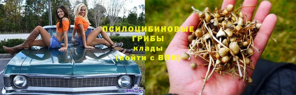 крисы Балабаново