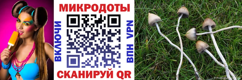 Купить  Орлов  Галлюциногенные грибы Magic Shrooms 